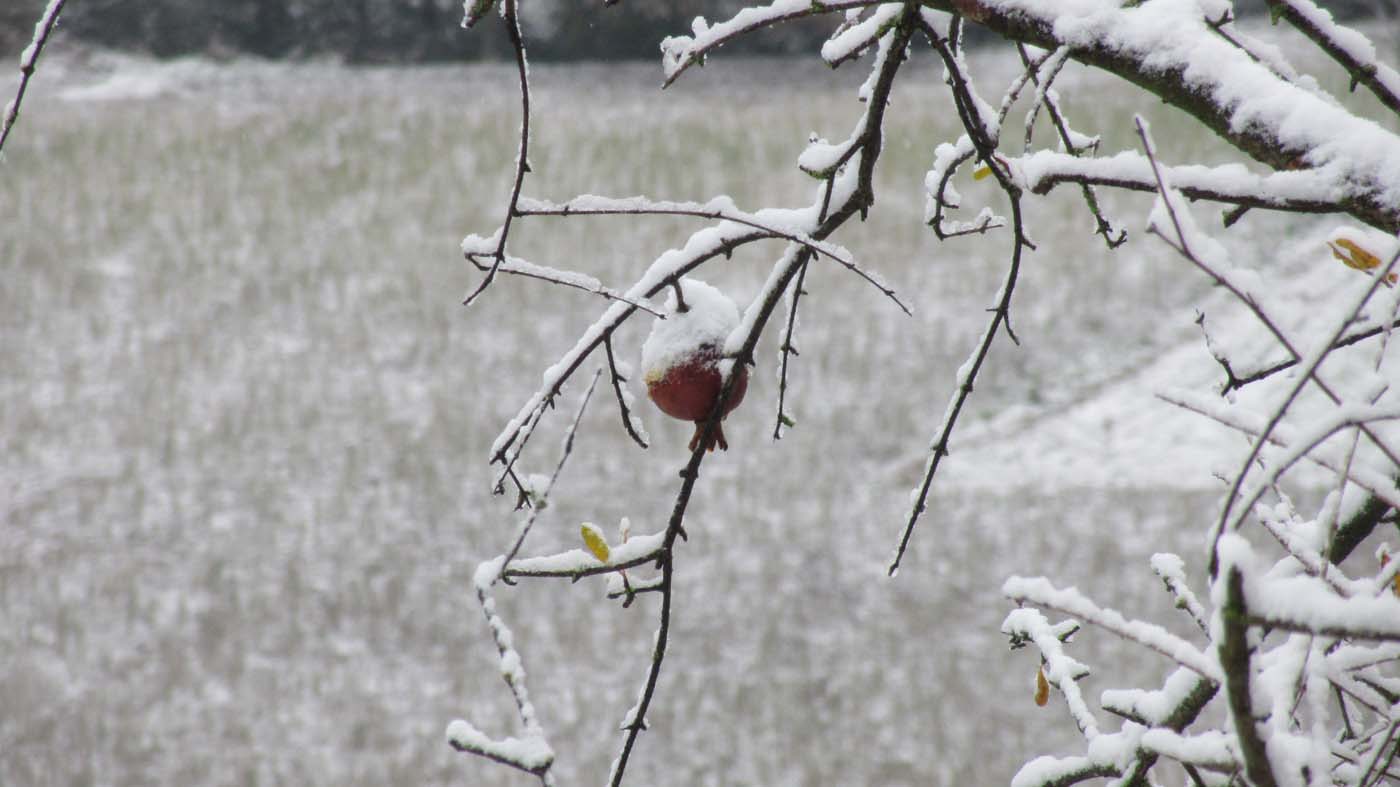 1_71_.jpg (1400×787)