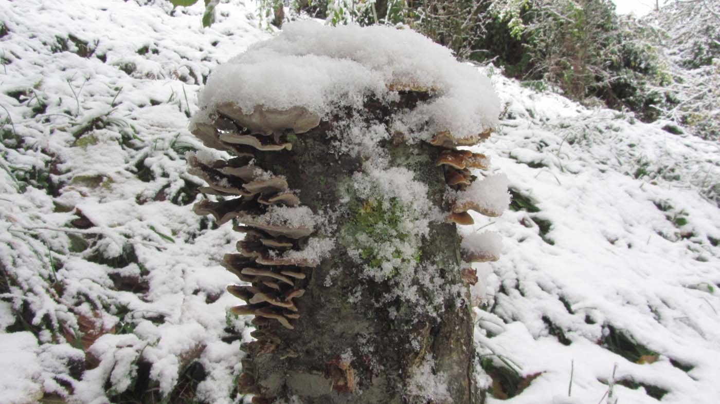 1_76_.jpg (1400×787)