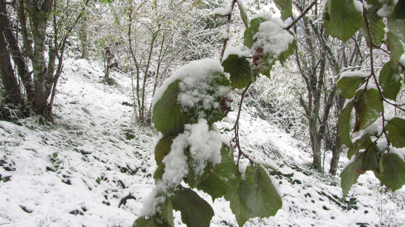 1_78_.jpg (1400×787)