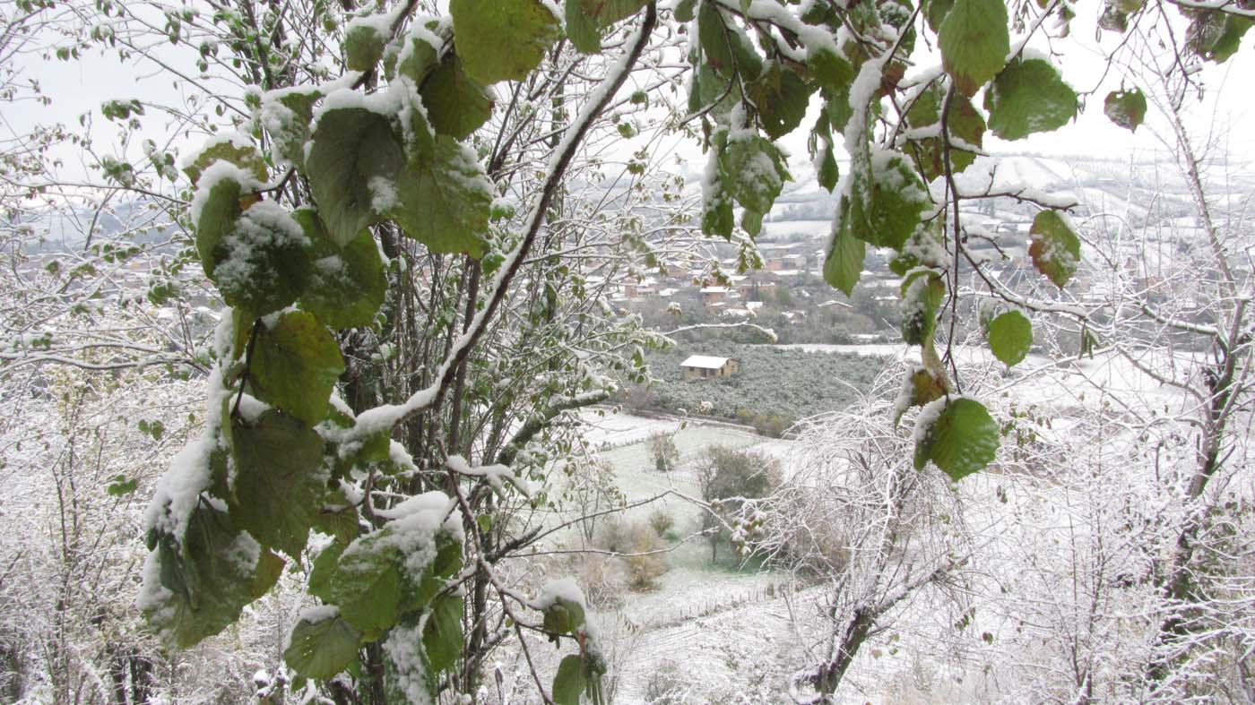 1_79_.jpg (1400×787)