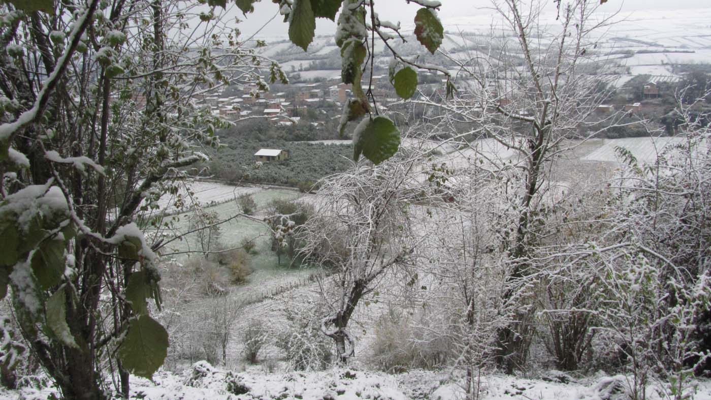 1_80_.jpg (1400×787)