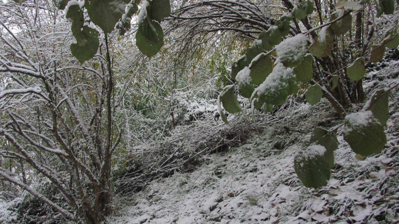 1_81_.jpg (1400×787)