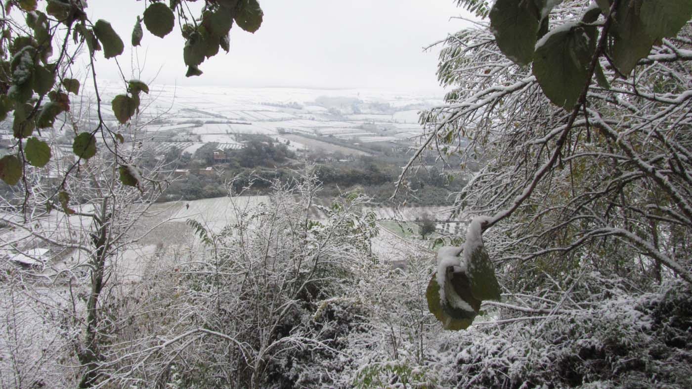 1_82_.jpg (1400×787)