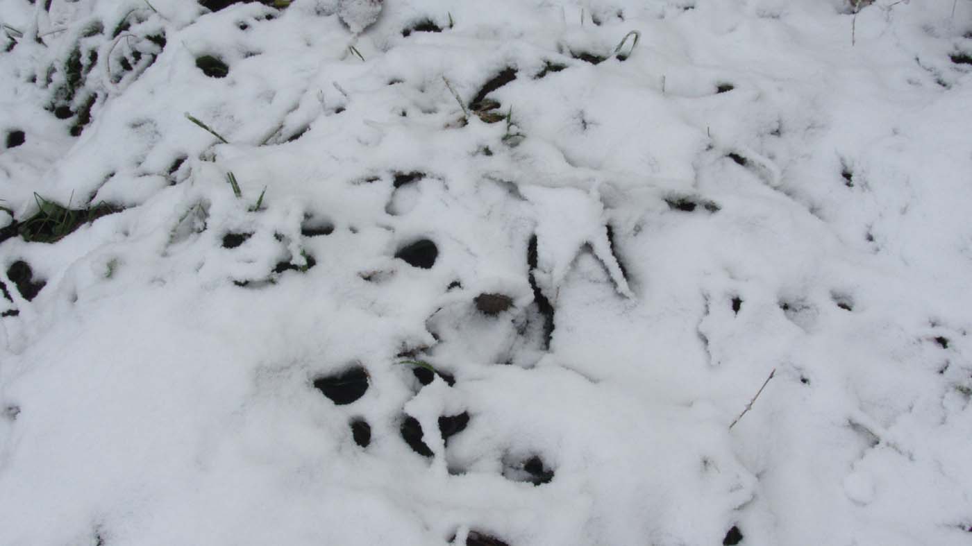 1_87_.jpg (1400×787)