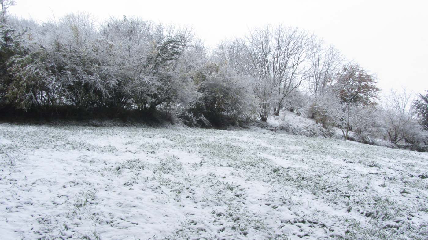 1_89_.jpg (1400×787)