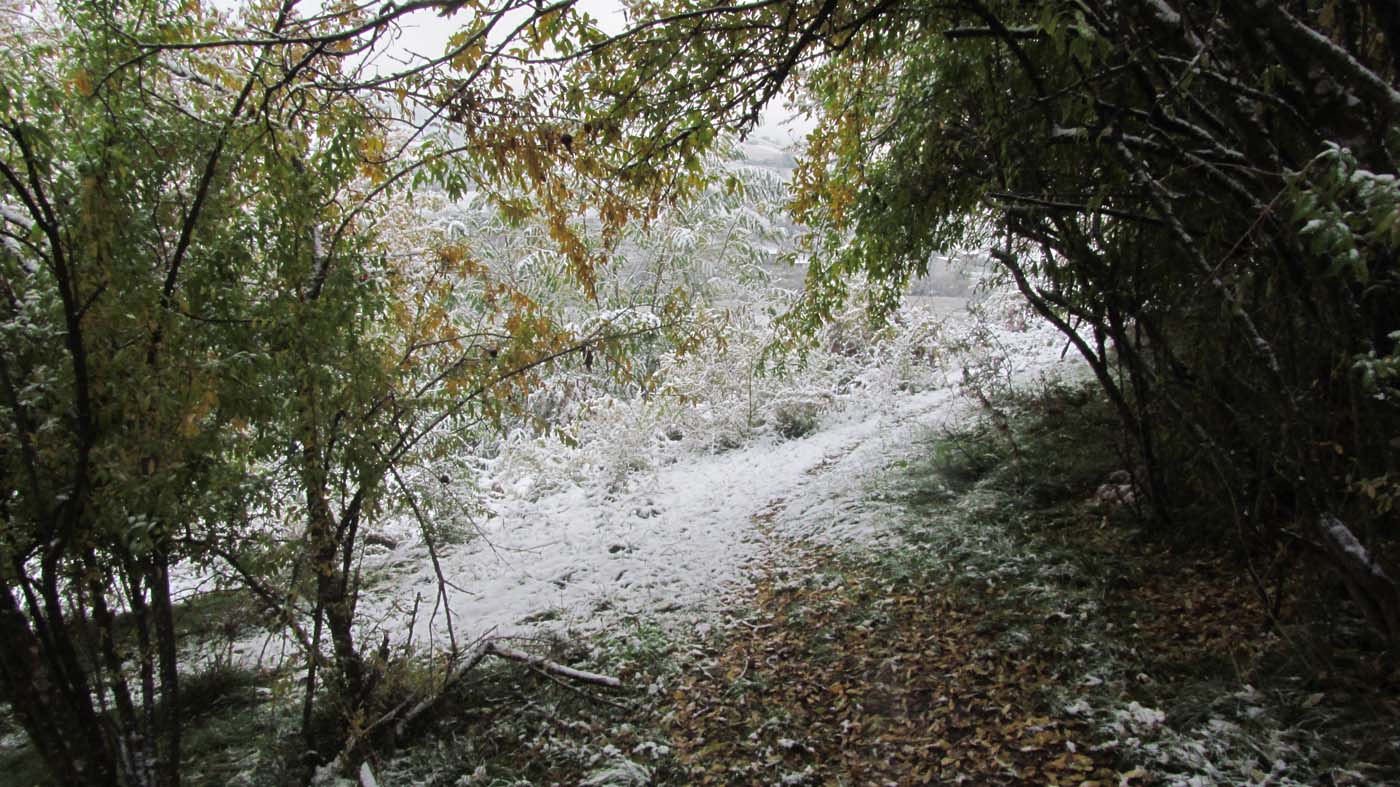 1_91_.jpg (1400×787)