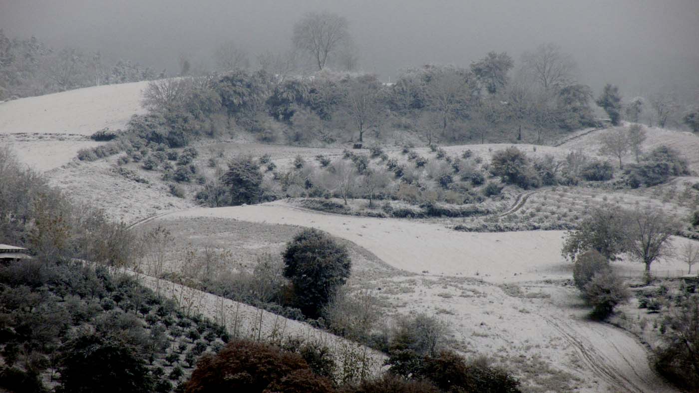 1_94_.jpg (1400×787)