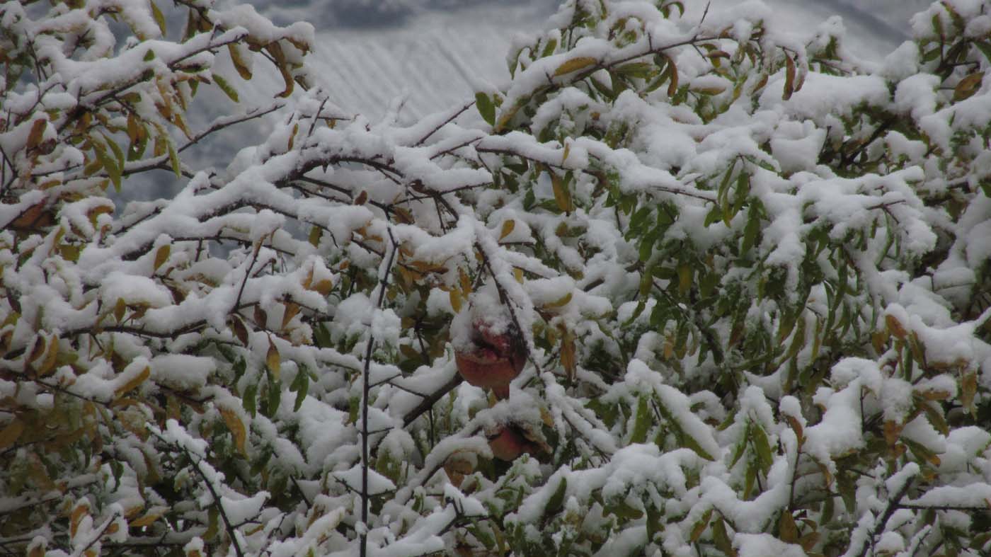 1_99_.jpg (1400×787)