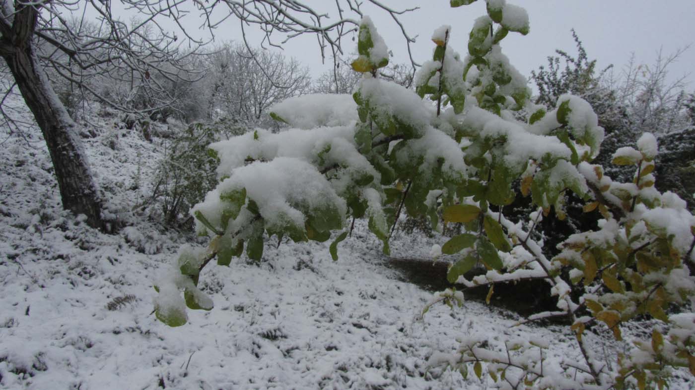 1_100_.jpg (1400×787)