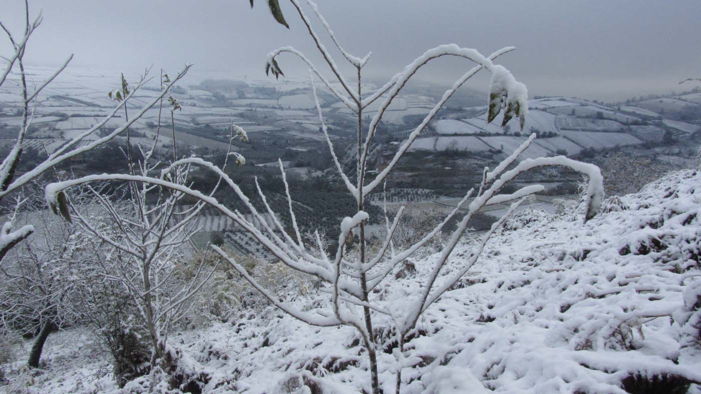 1_101_.jpg (1400×787)