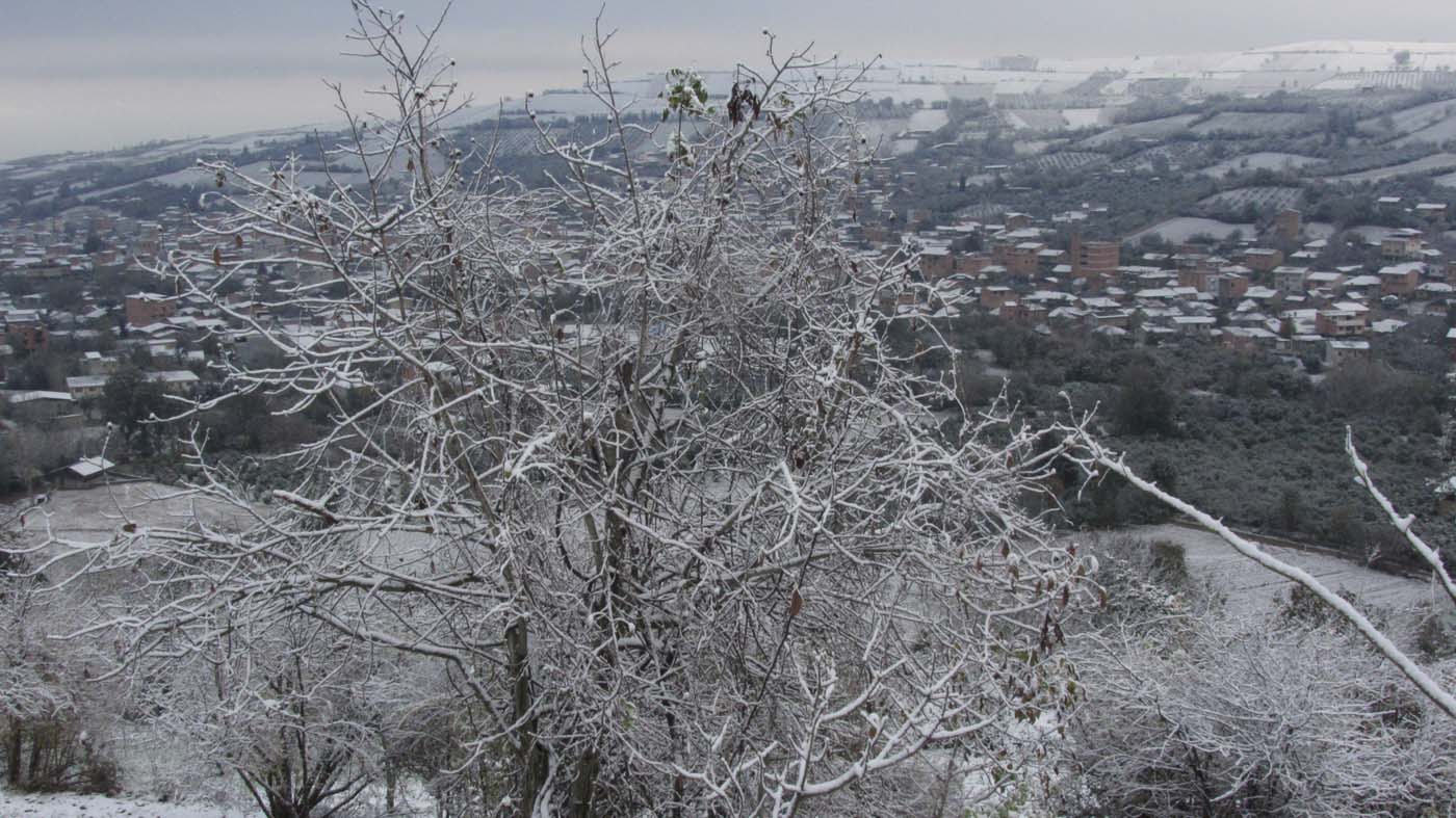 1_103_.jpg (1400×787)