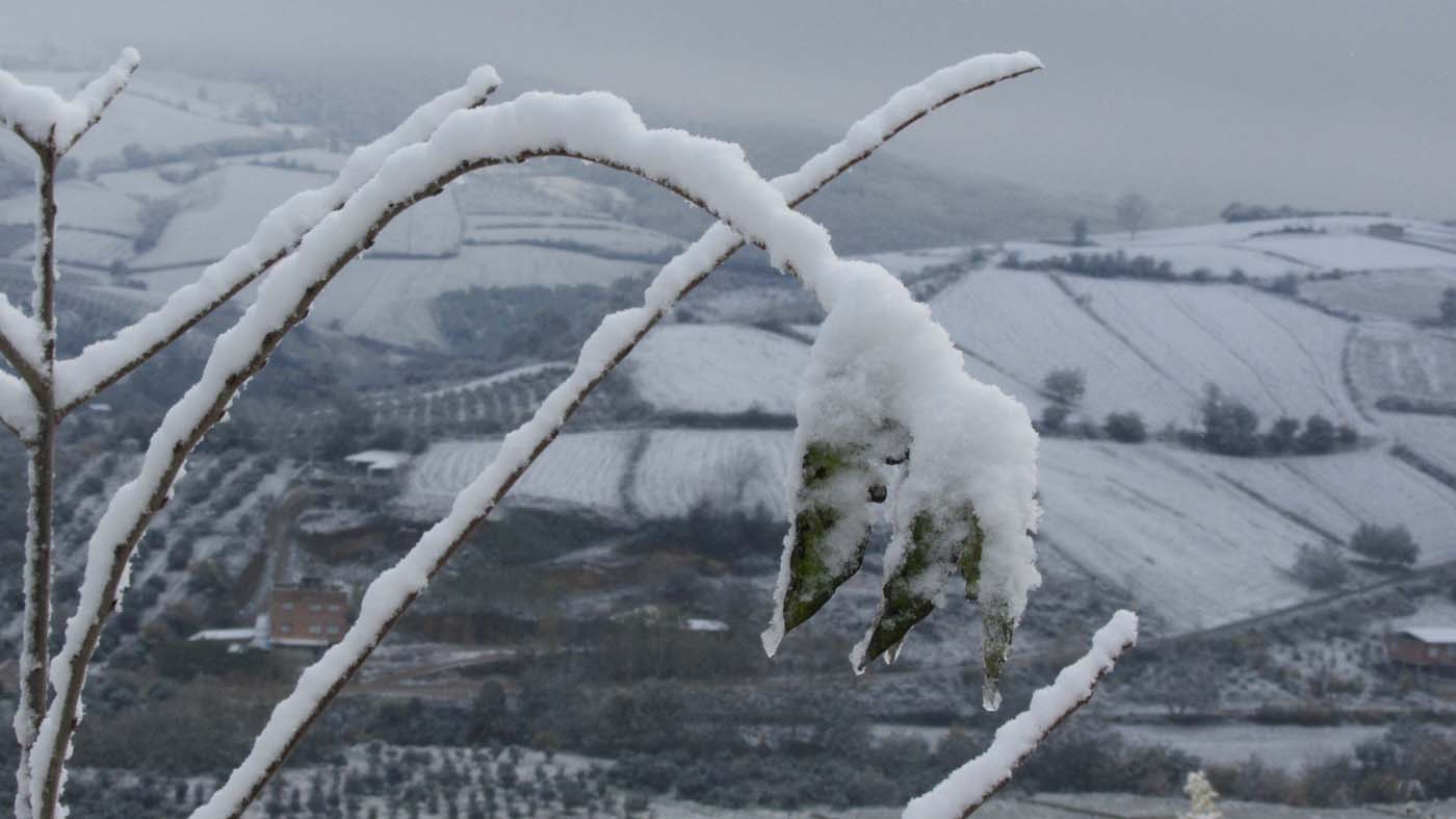 1_104_.jpg (1400×787)