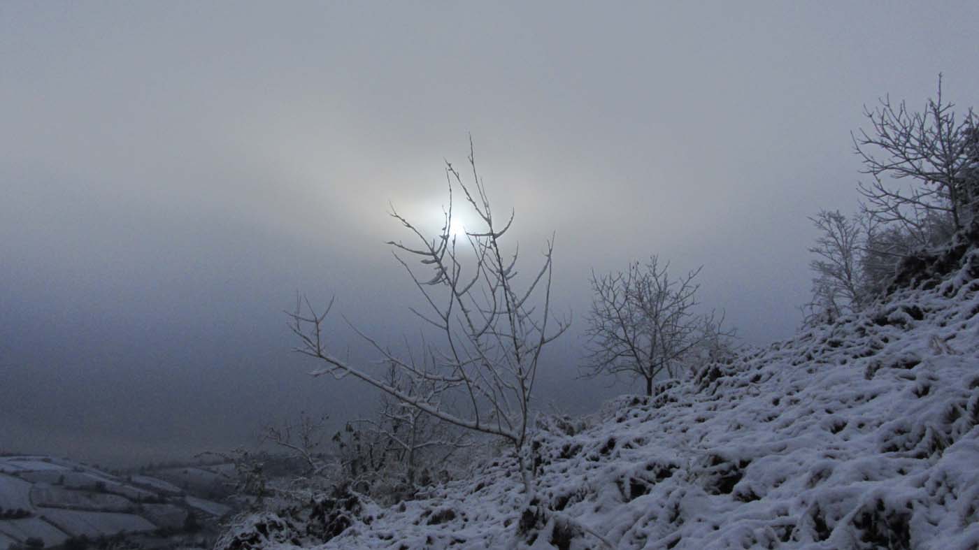 1_105_.jpg (1400×787)