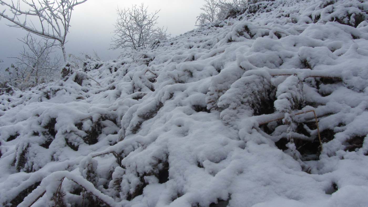 1_108_.jpg (1400×787)