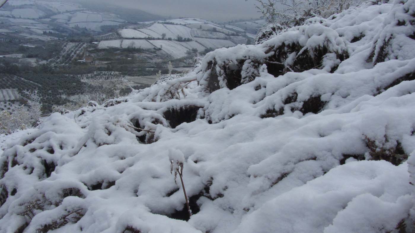 1_109_.jpg (1400×787)