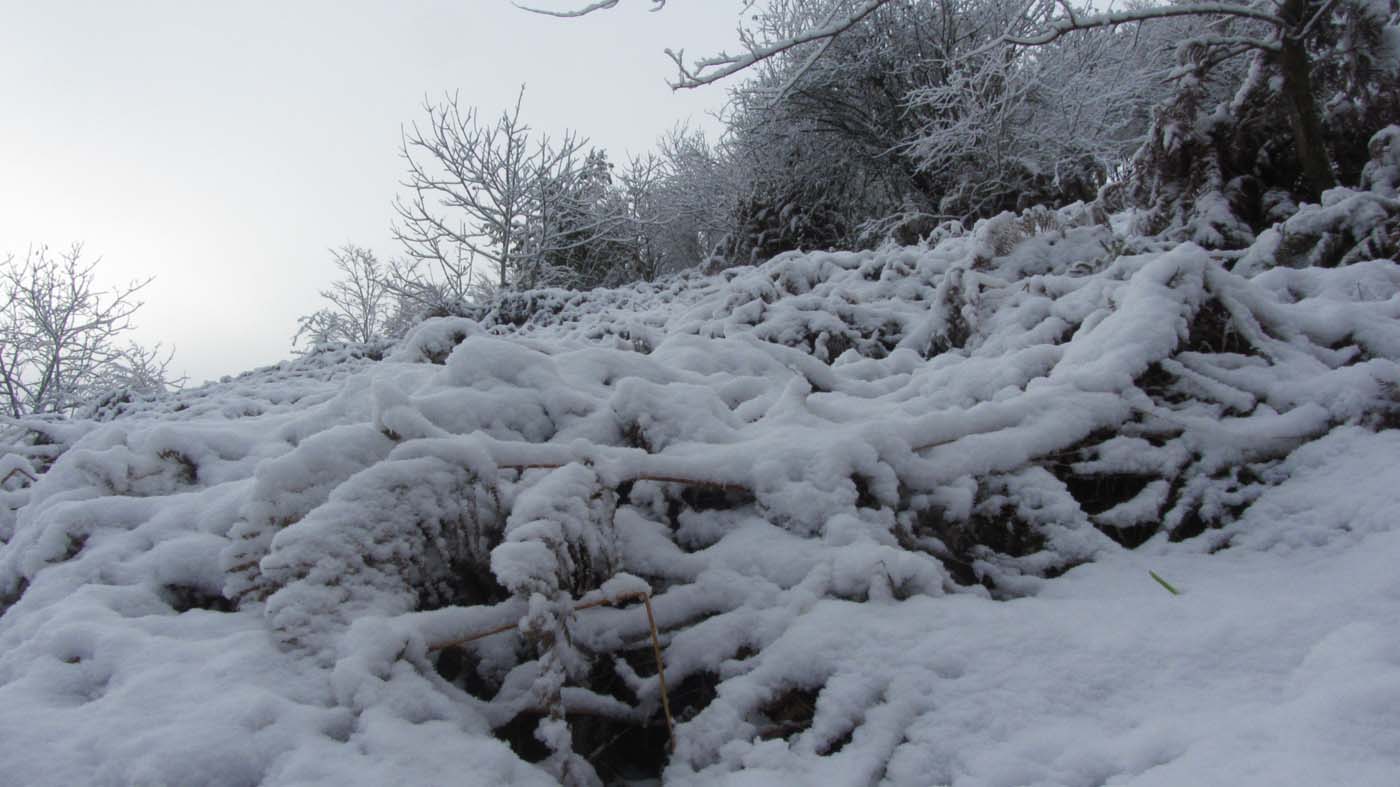 1_110_.jpg (1400×787)