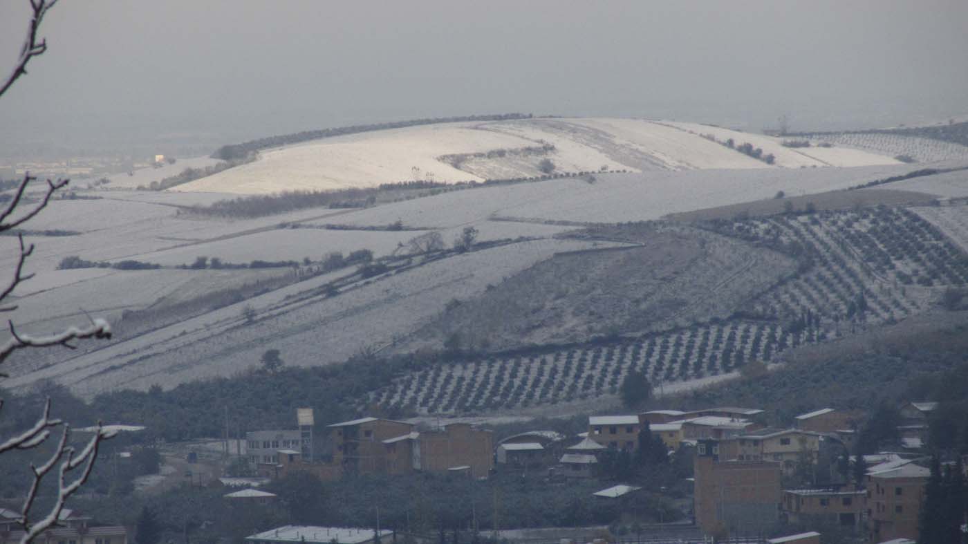 1_111_.jpg (1400×787)