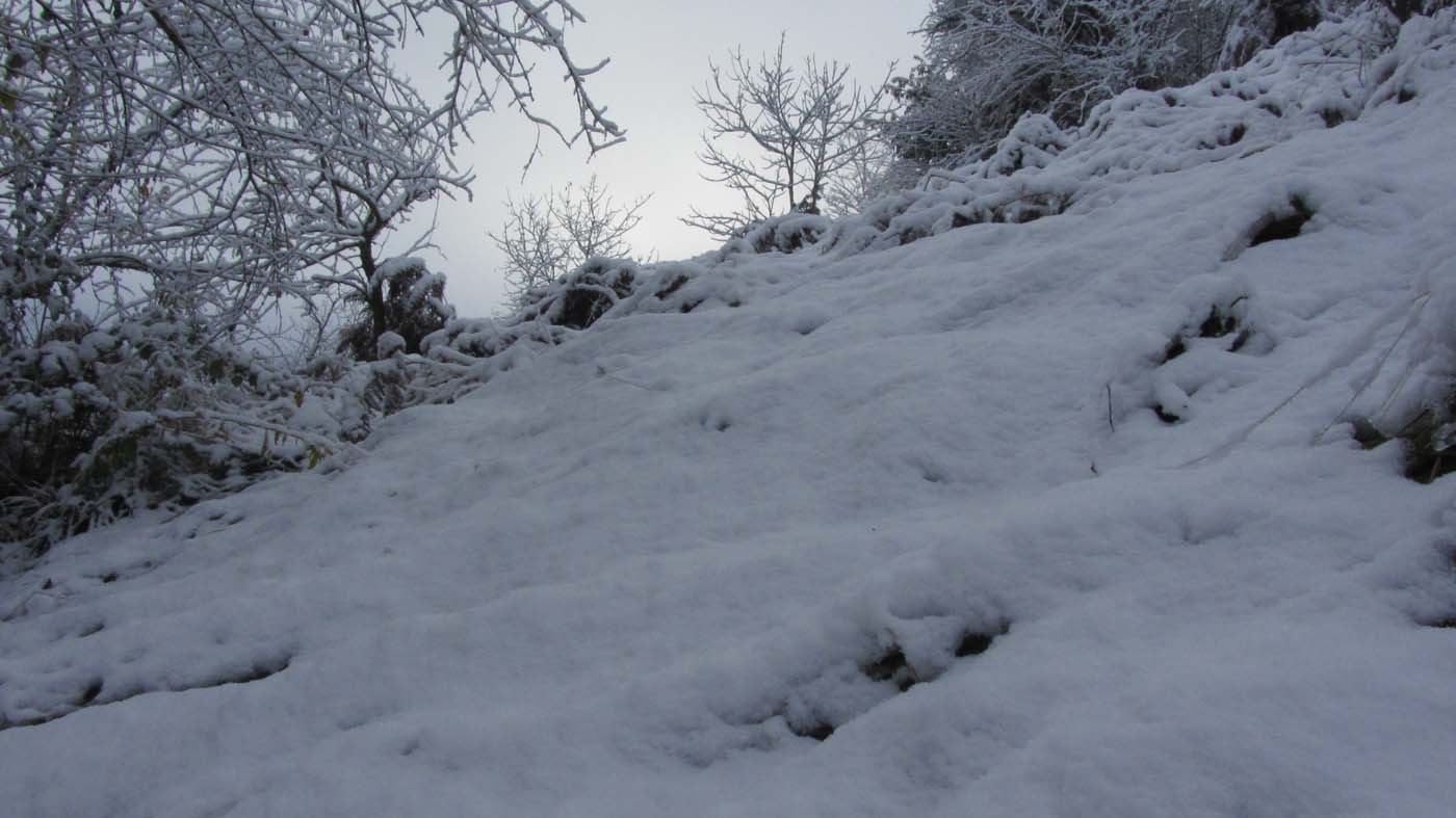 1_114_.jpg (1400×787)