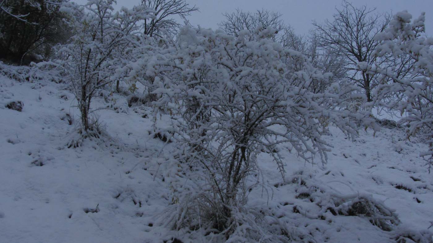 1_116_.jpg (1400×787)