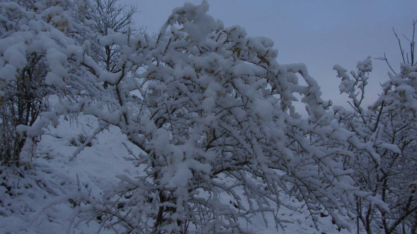 1_117_.jpg (1400×787)