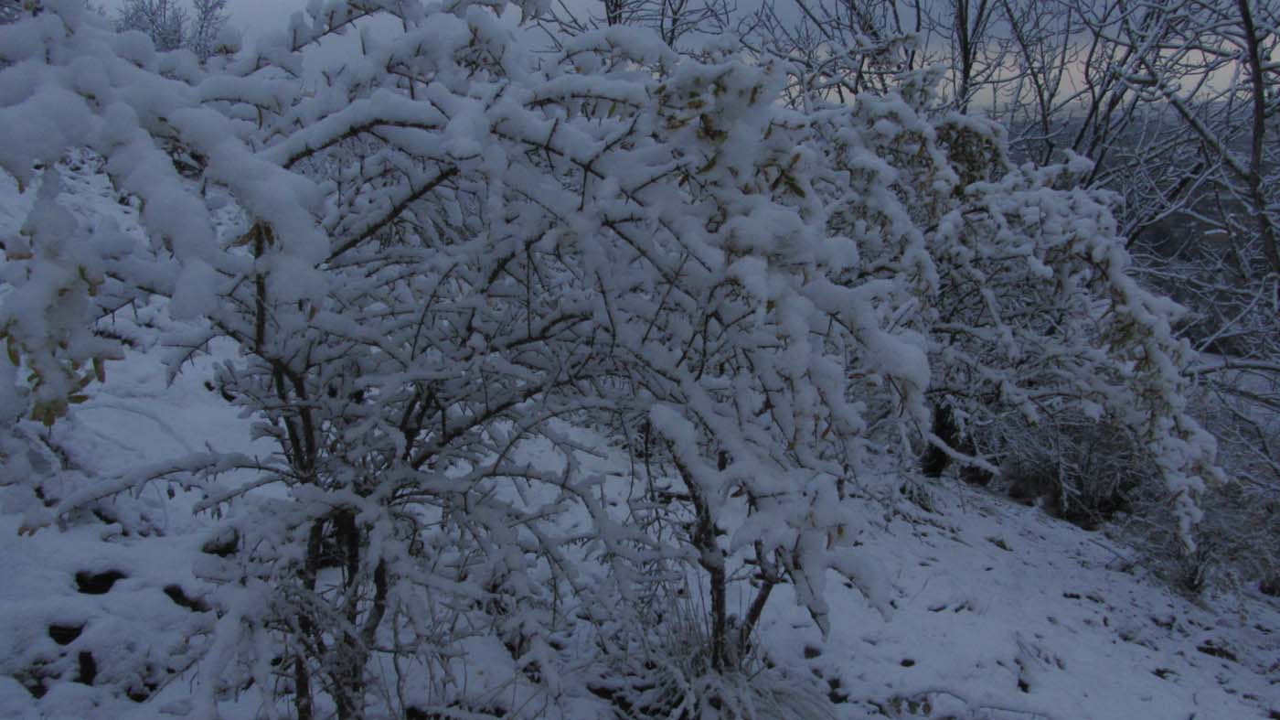 1_118_.jpg (1400×787)