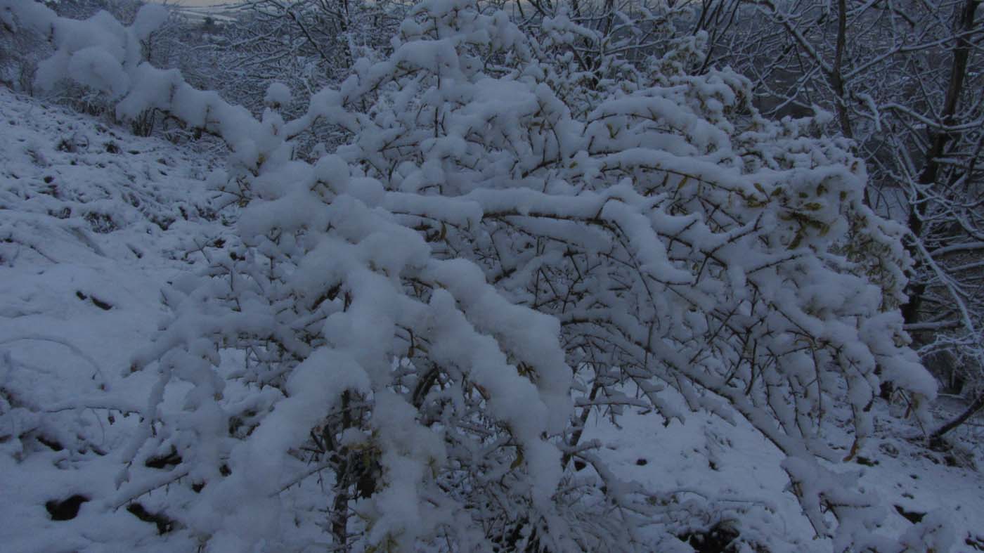 1_119_.jpg (1400×787)