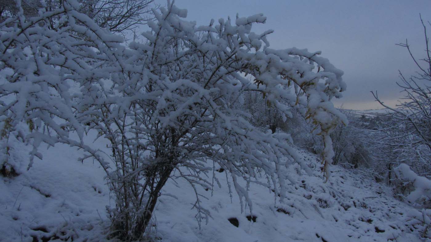 1_120_.jpg (1400×787)