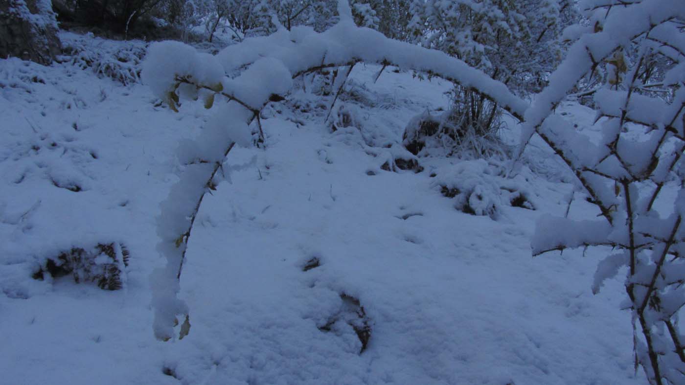 1_122_.jpg (1400×787)