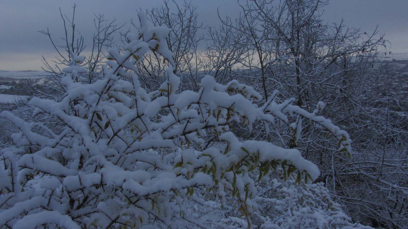 1_123_.jpg (1400×787)