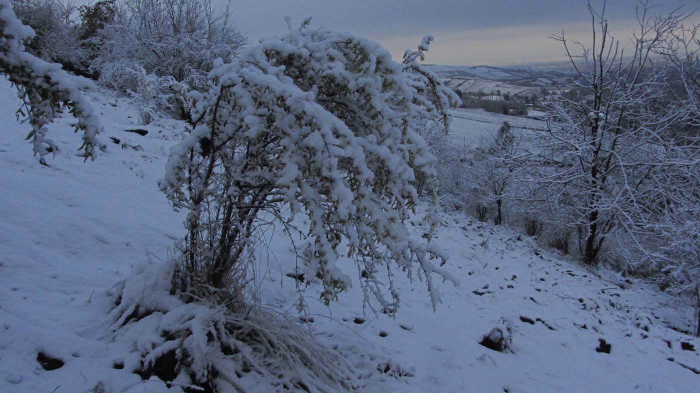 1_126_.jpg (1400×787)