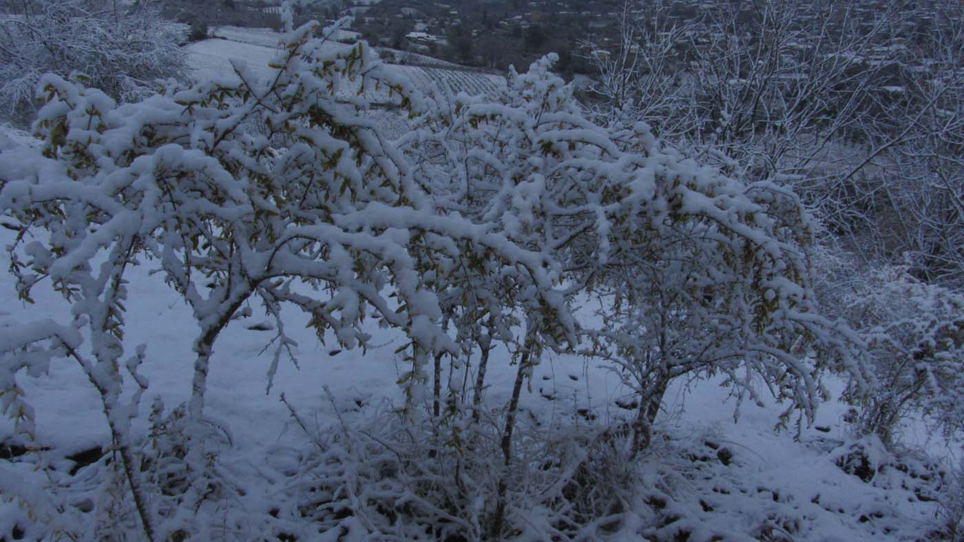 1_128_.jpg (1400×787)