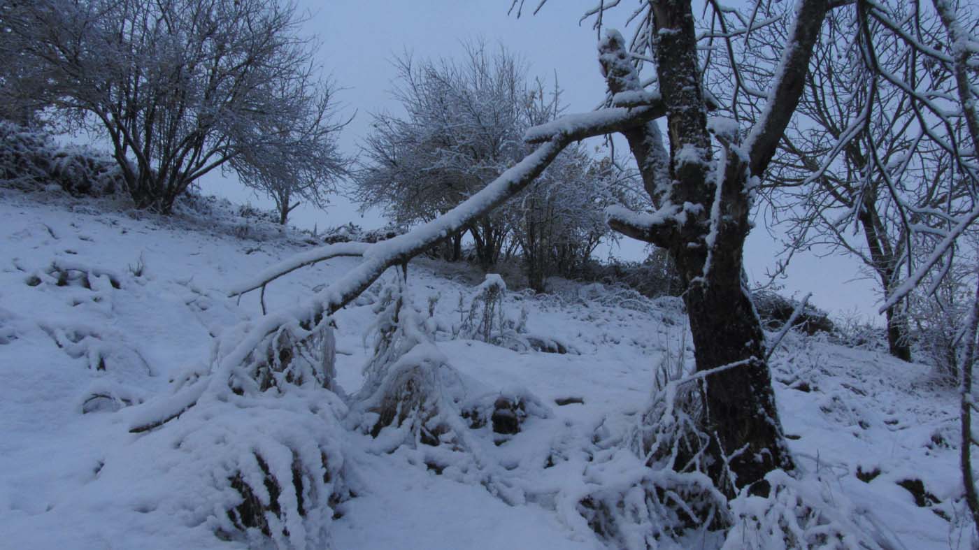 1_130_.jpg (1400×787)