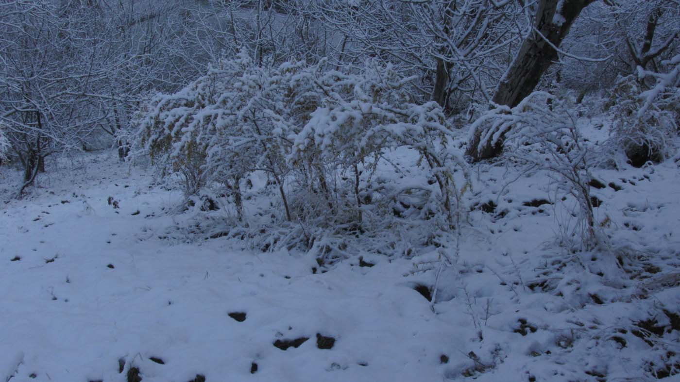 1_132_.jpg (1400×787)