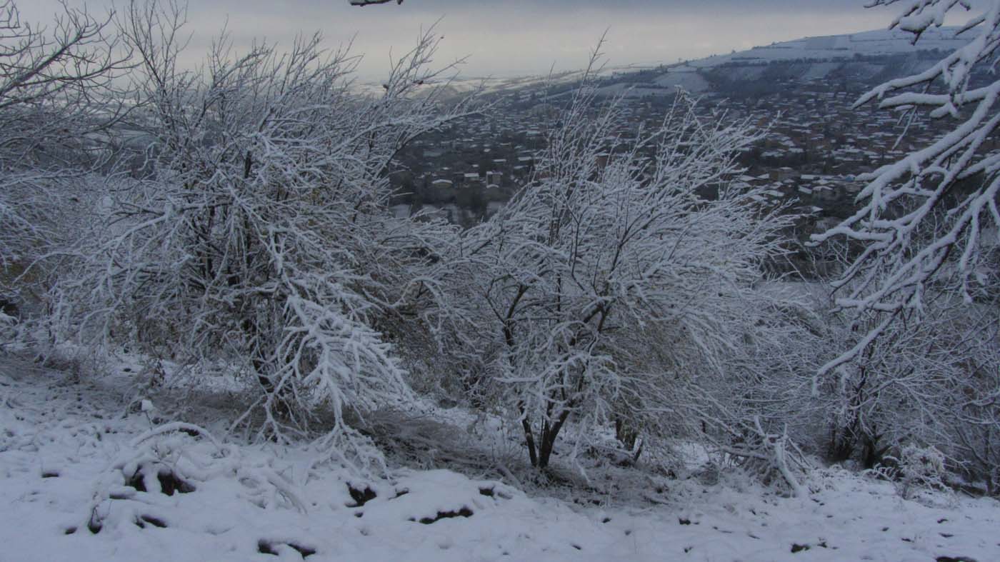 1_135_.jpg (1400×787)