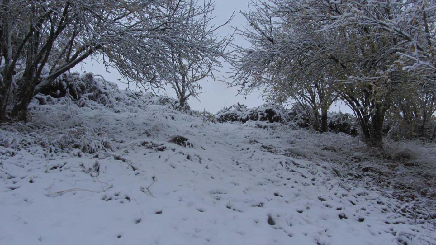 1_136_.jpg (1400×787)