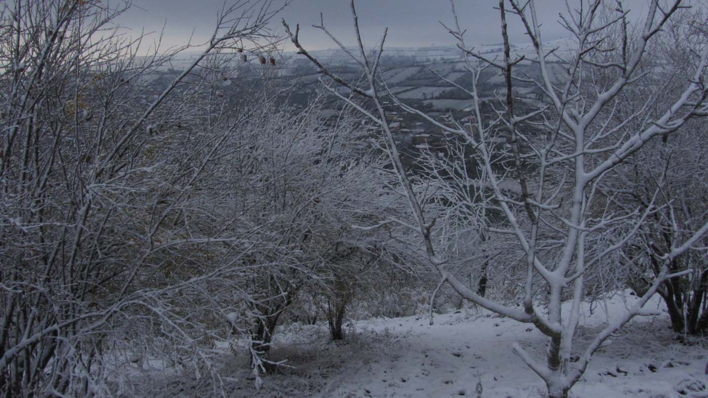 1_139_.jpg (1400×787)