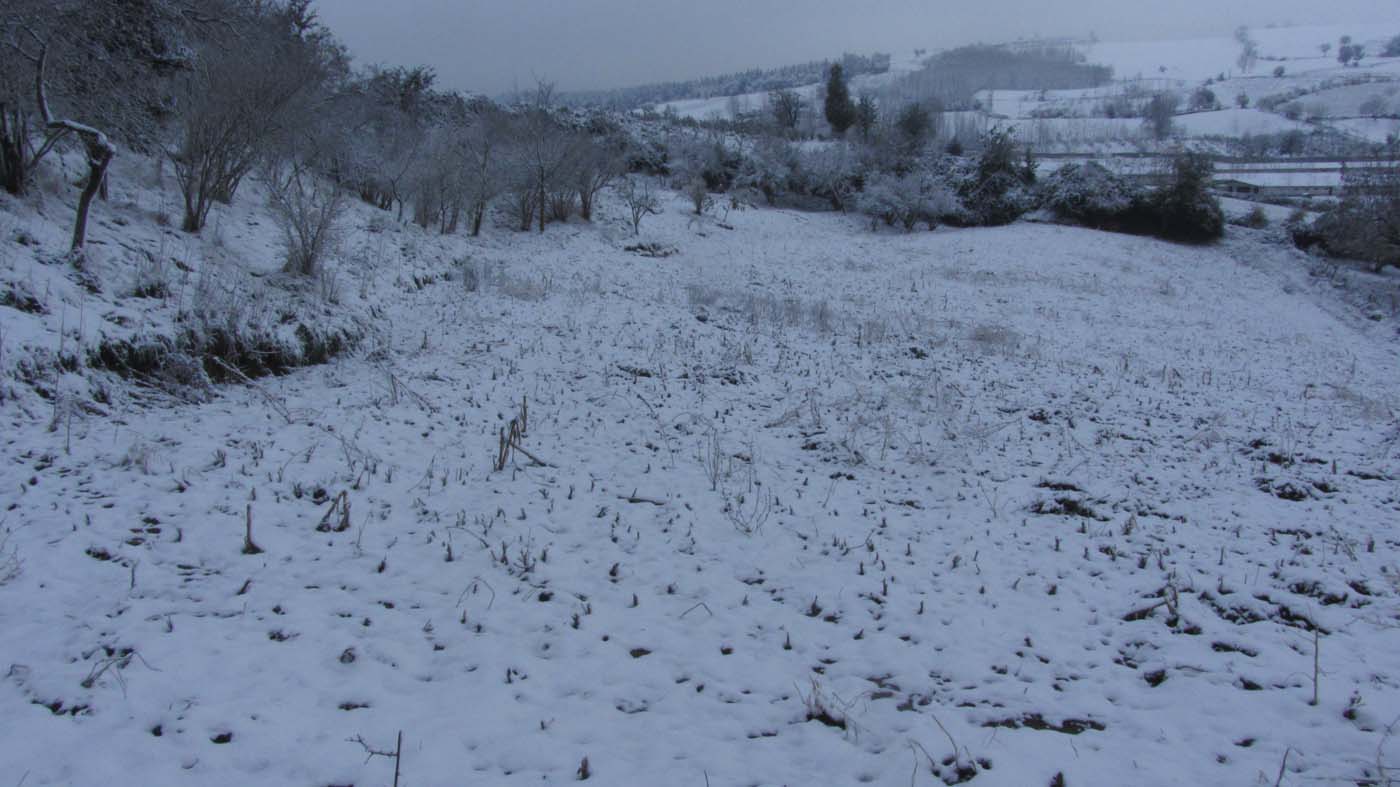 1_141_.jpg (1400×787)