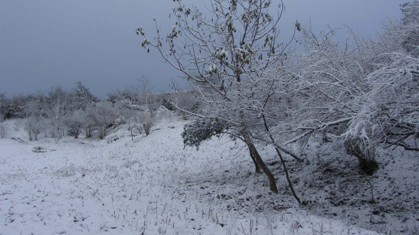 1_143_.jpg (1400×787)