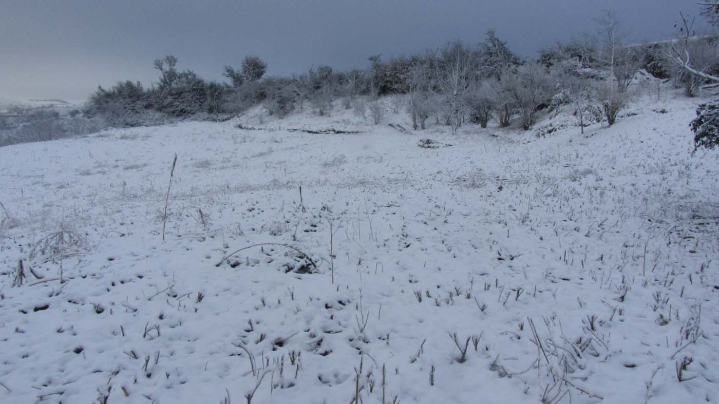 1_144_.jpg (1400×787)