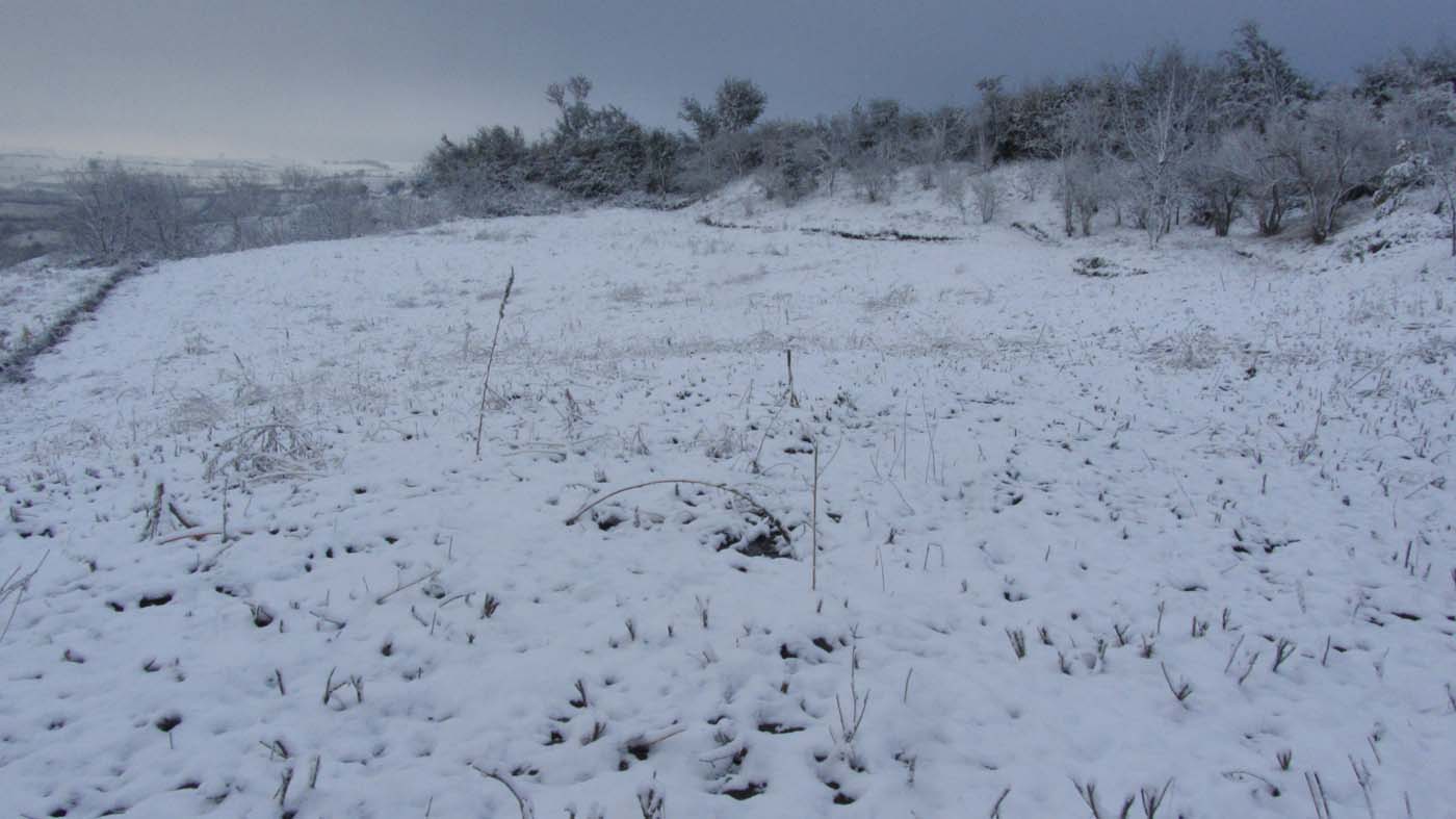 1_145_.jpg (1400×787)