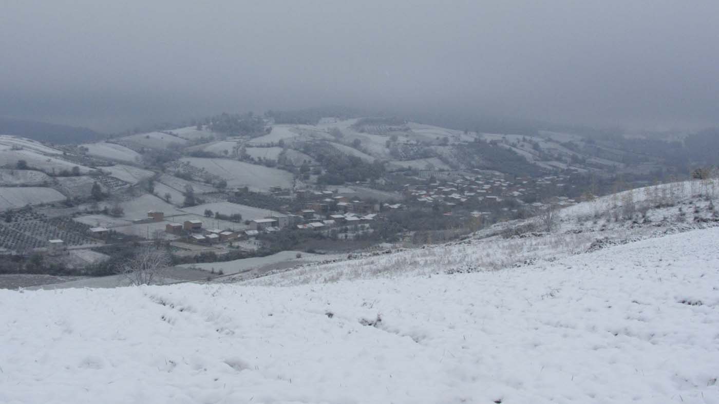 1_146_.jpg (1400×787)