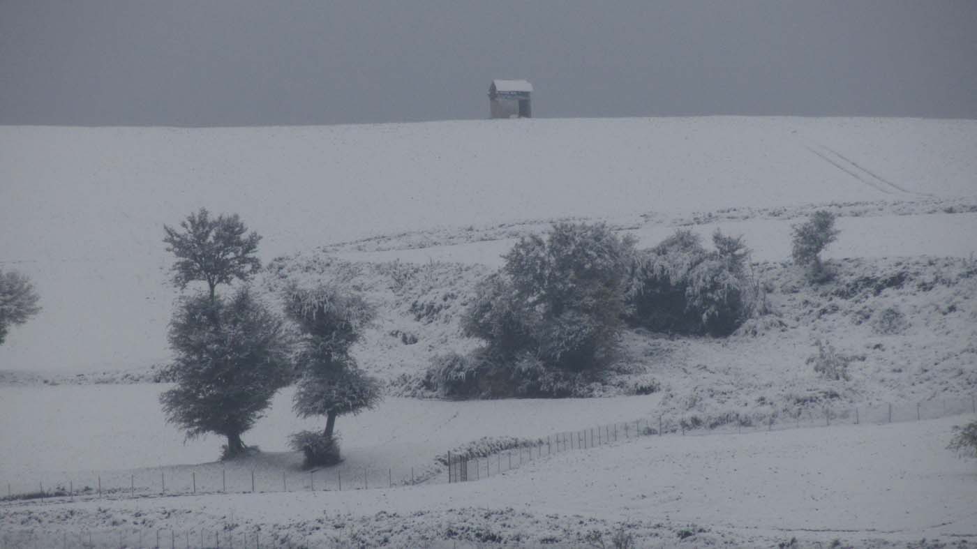 1_147_.jpg (1400×787)