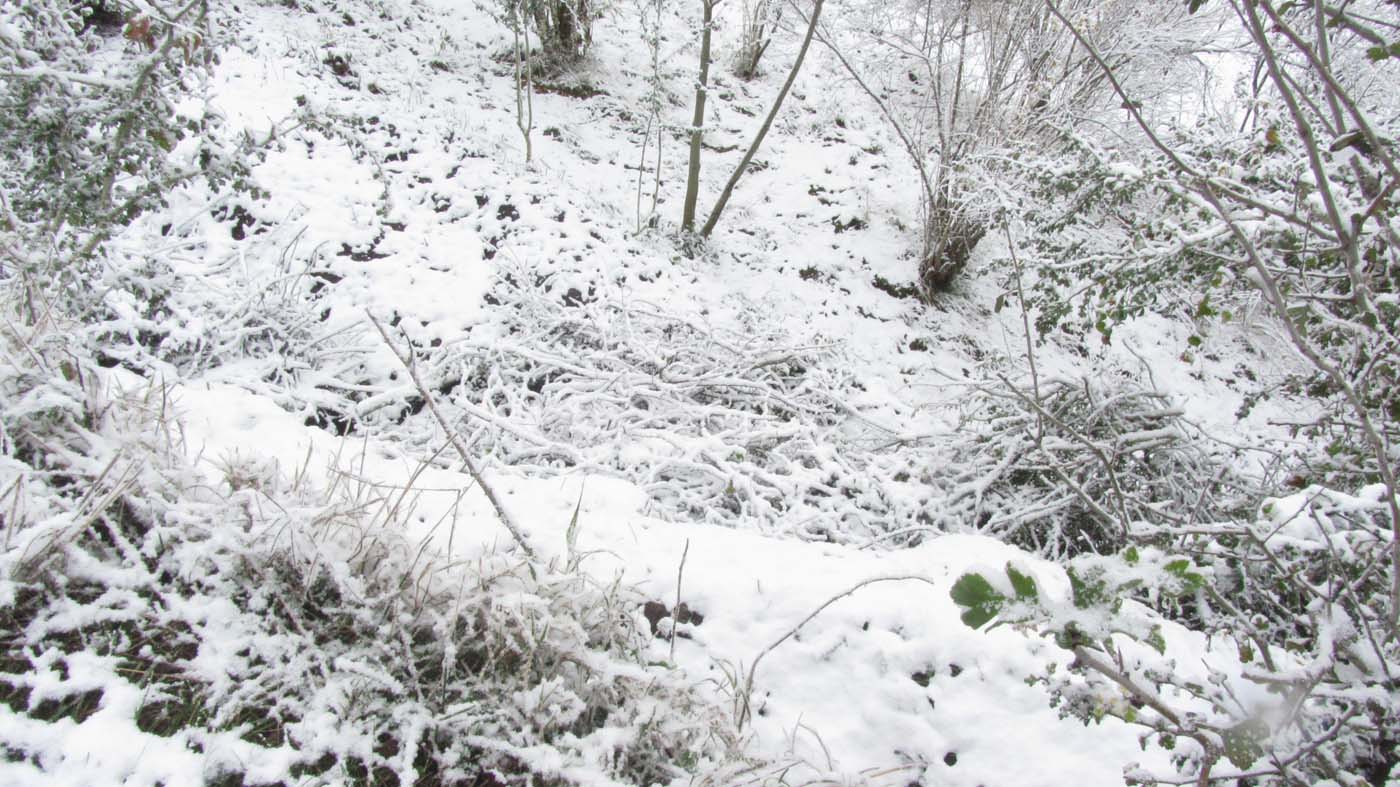 1_150_.jpg (1400×787)