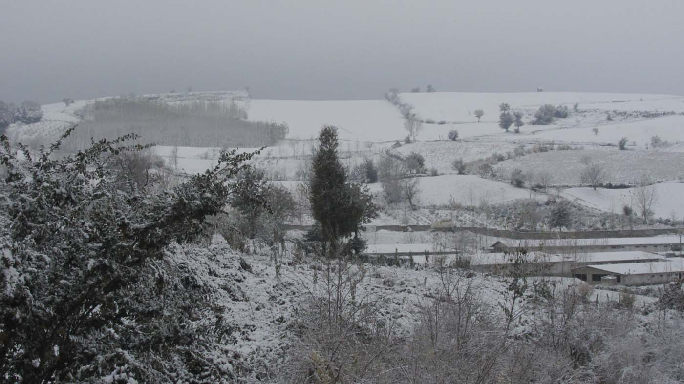 1_153_.jpg (1400×787)