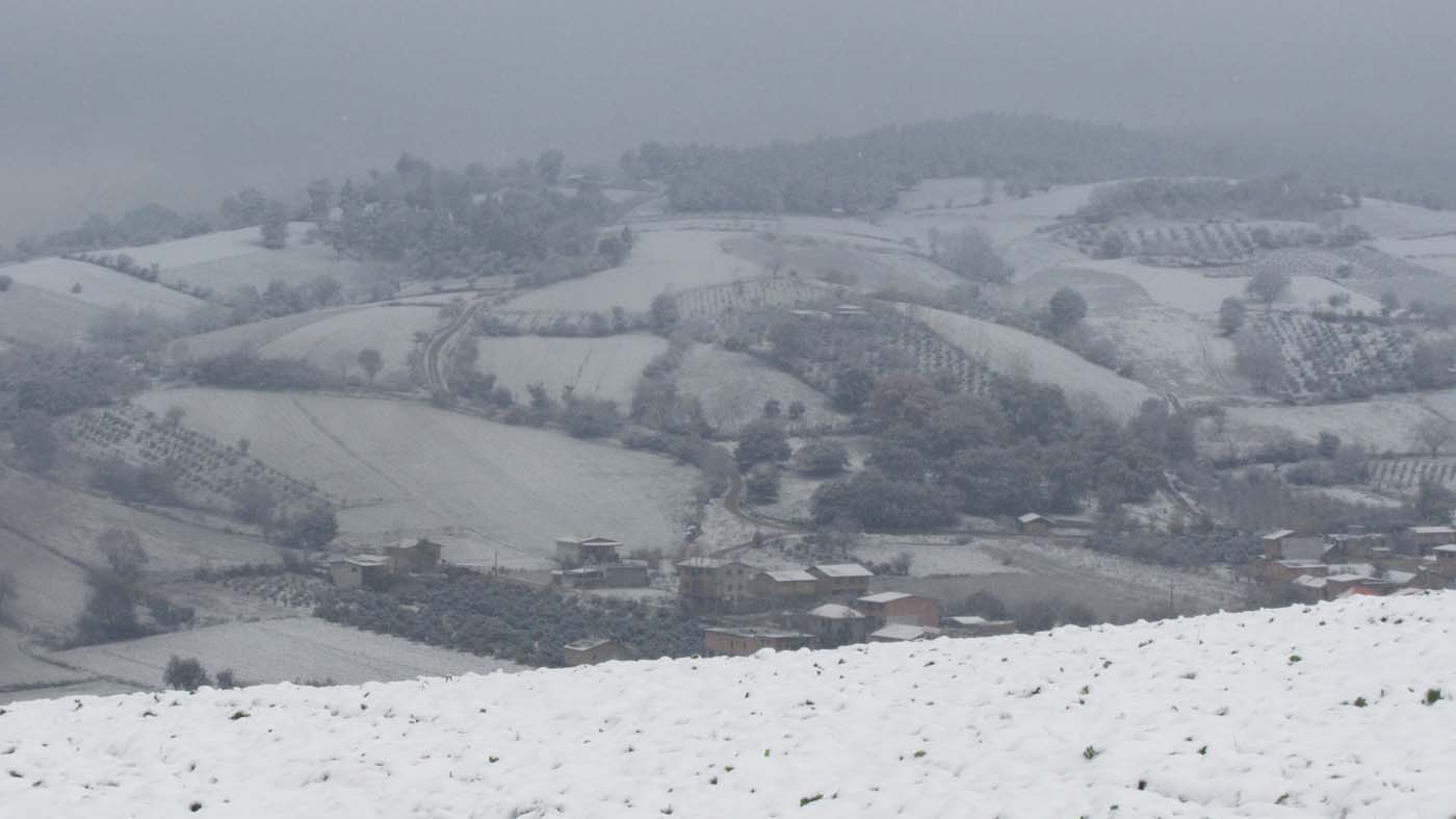 1_154_.jpg (1400×787)