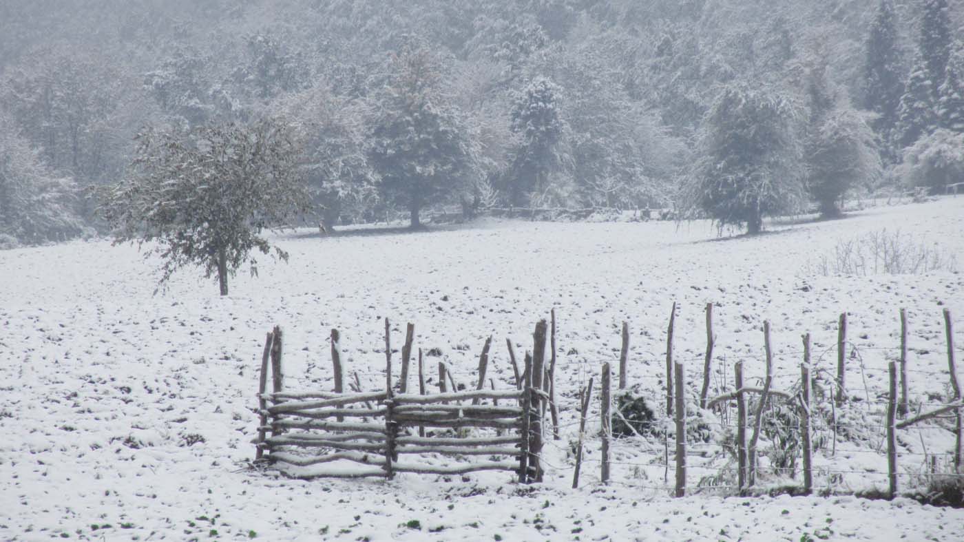 1_155_.jpg (1400×787)