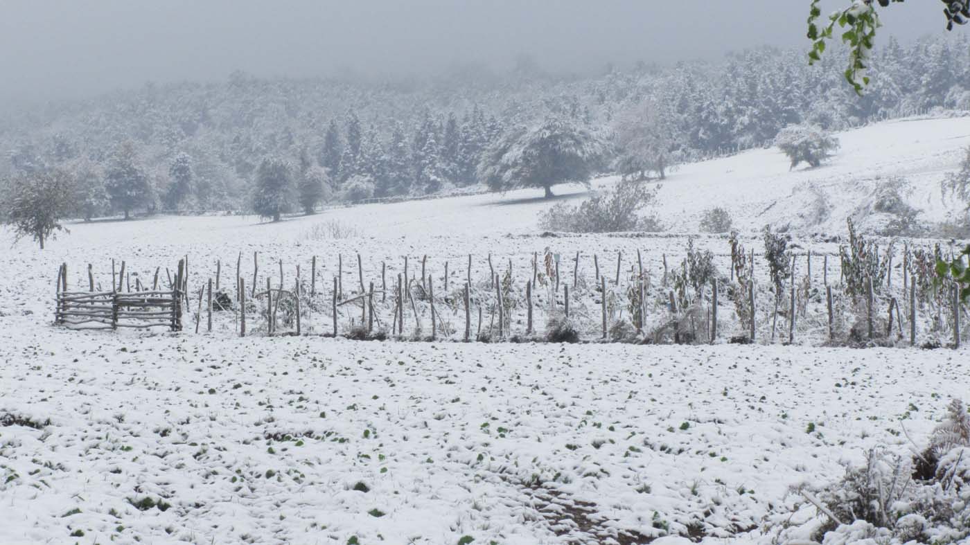 1_156_.jpg (1400×787)