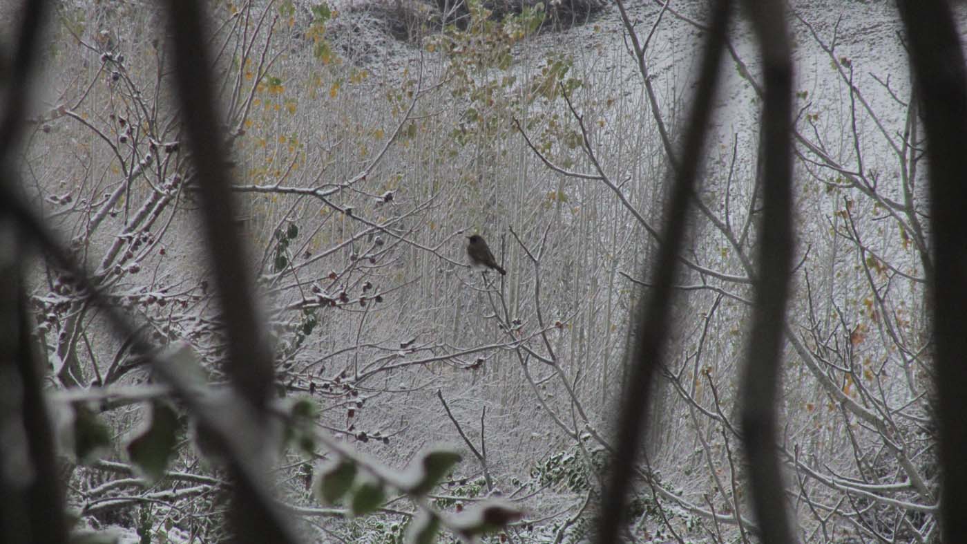 1_158_.jpg (1400×787)