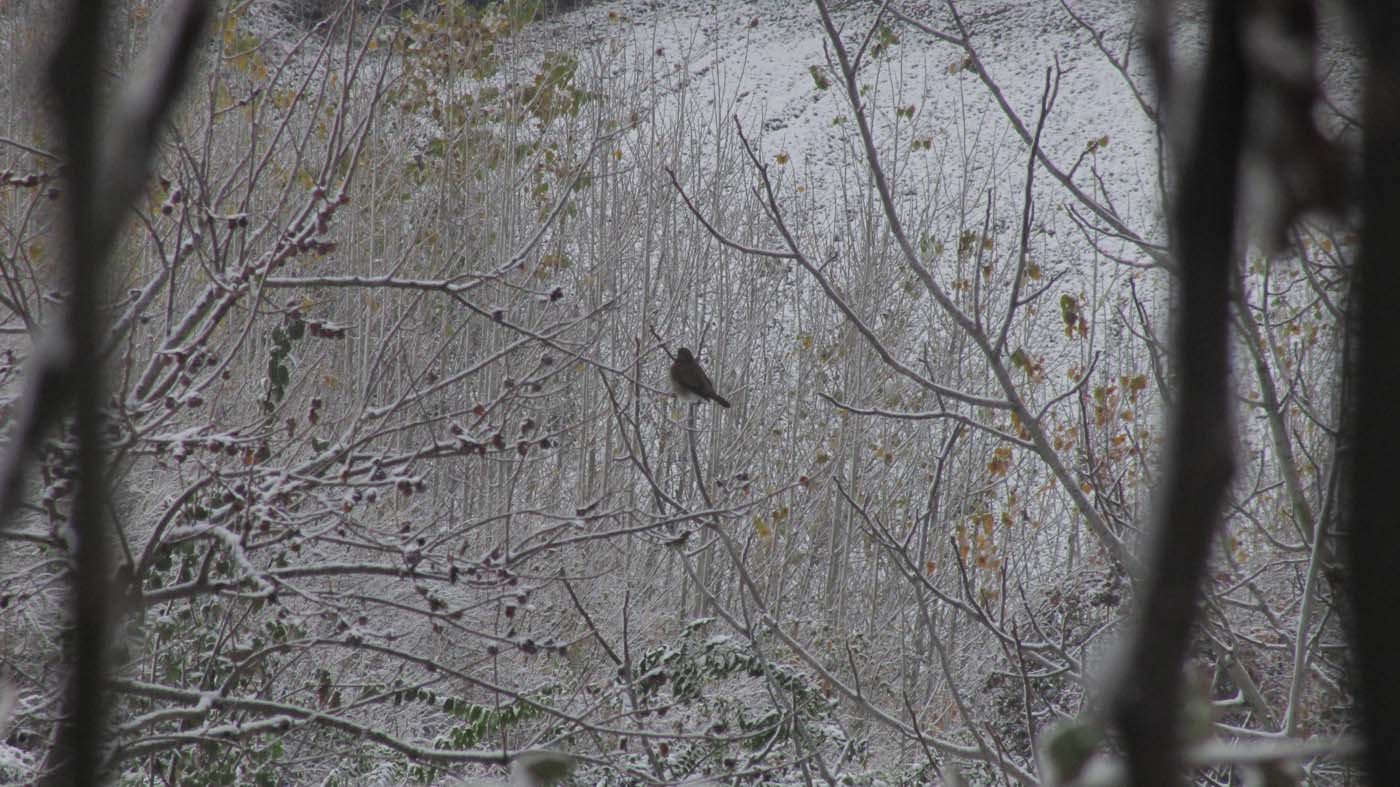 1_159_.jpg (1400×787)