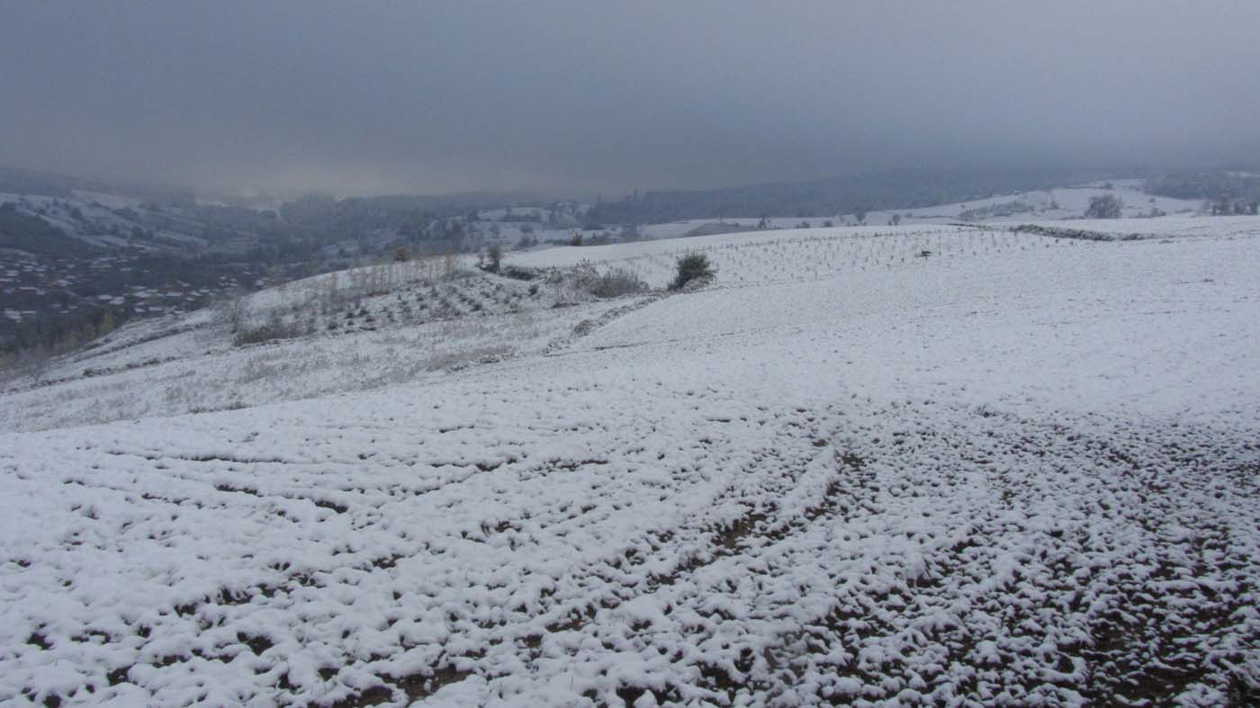 1_161_.jpg (1400×787)